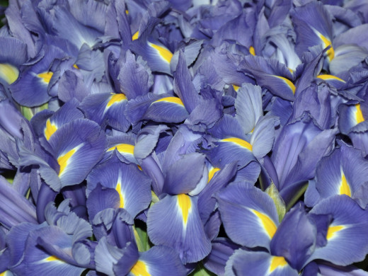 428959 (a): :1600x1200